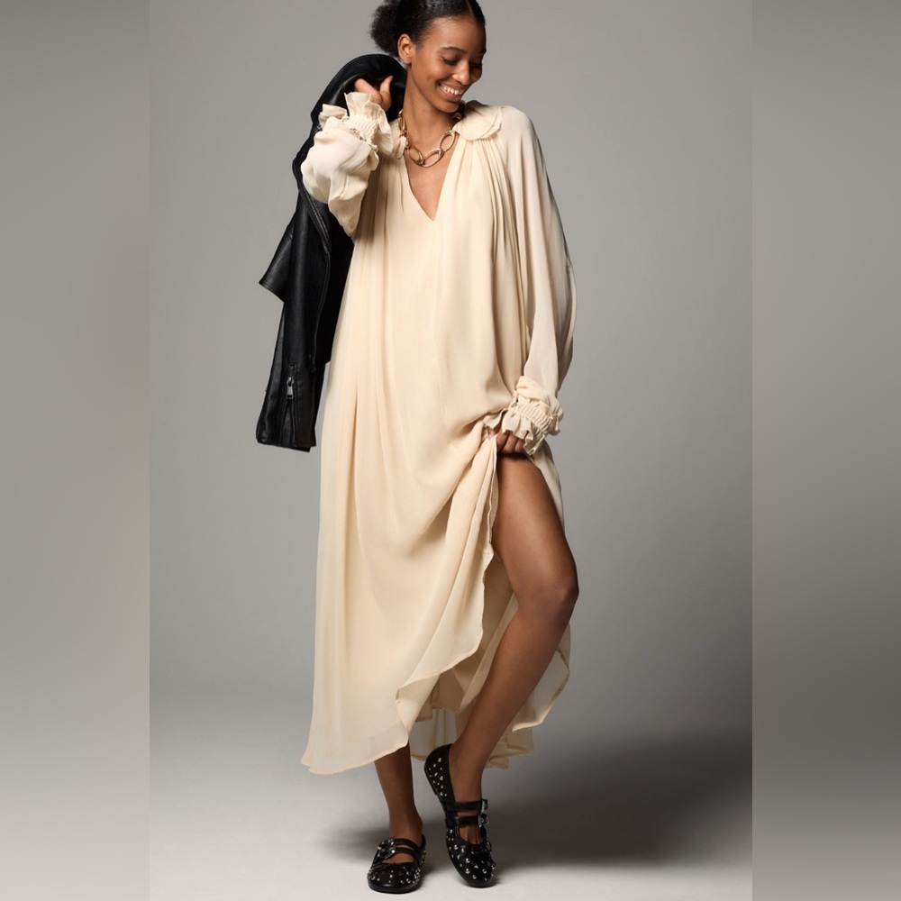 NWT ANTHROPOLOGIE Long Sleeve Sheer Pleated Maxi Dress Neutral XS-M - Picture 1 of 16